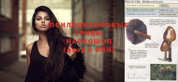 стафф Мегион